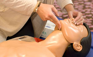 1. De Cursus